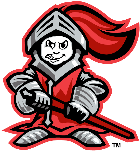Rutgers Scarlet Knights 1995-Pres Mascot Logo DIY iron on transfer (heat transfer)